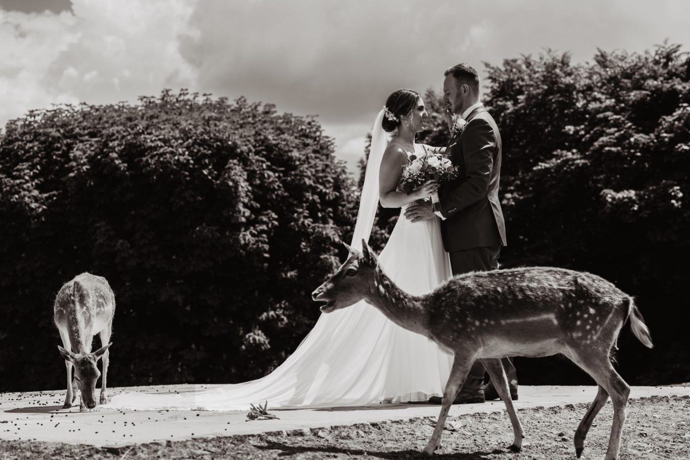Schwarzweißaufnahme des Brautpaares beim First Look mit Damwild