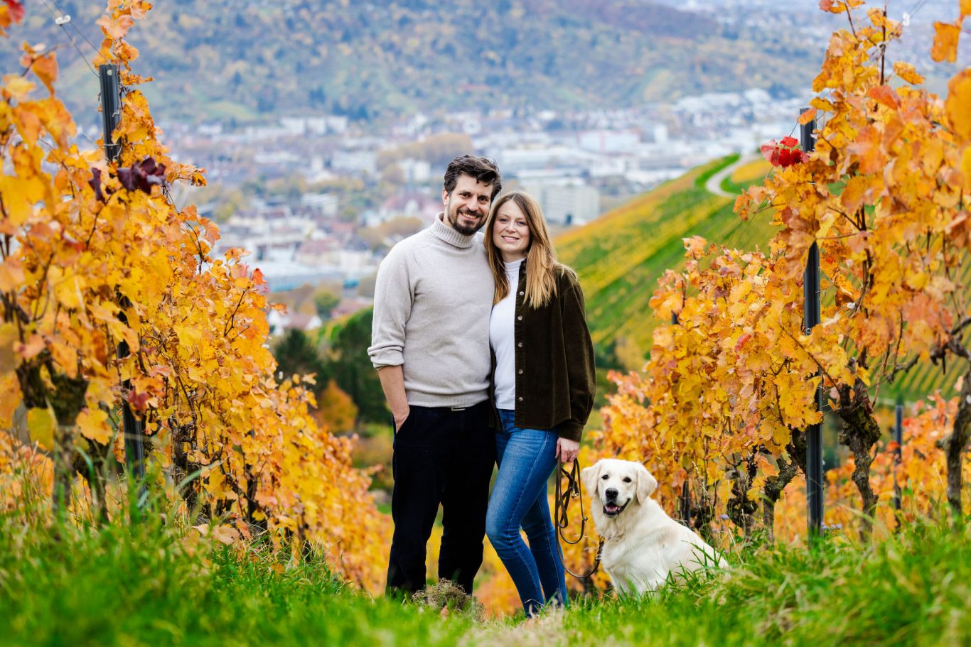 Weinbergen an der Grabkapelle Stuttgart
