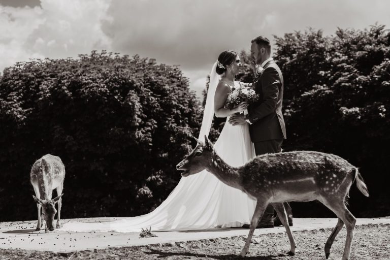 Hochzeitsfotograf Stuttgart