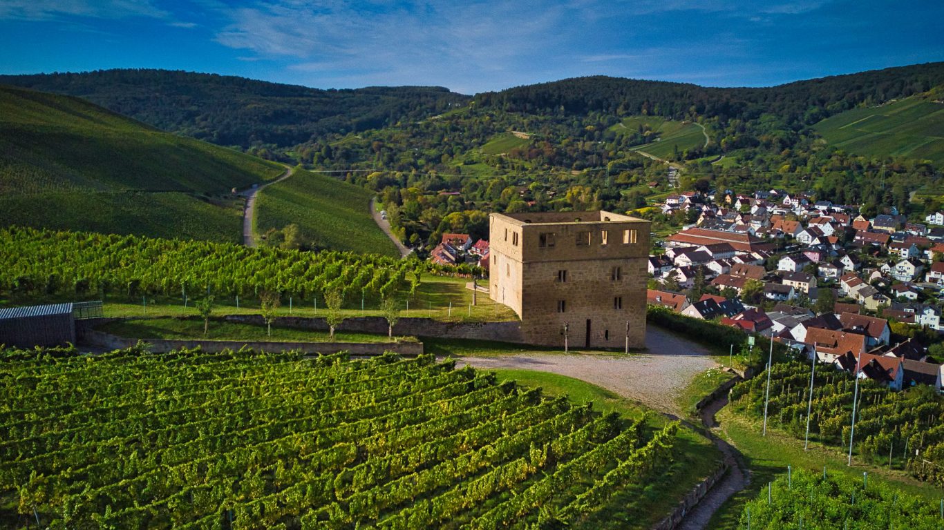 Luftaufnahme der Y-Burg in Kernen im Remstal mit Weinbergen