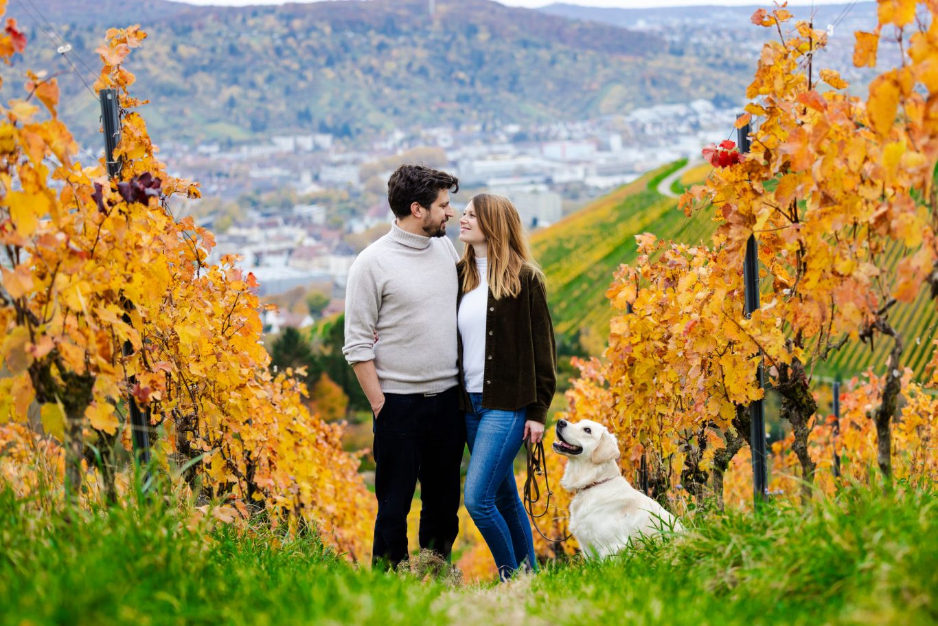 Weinbergen an der Grabkapelle Stuttgart