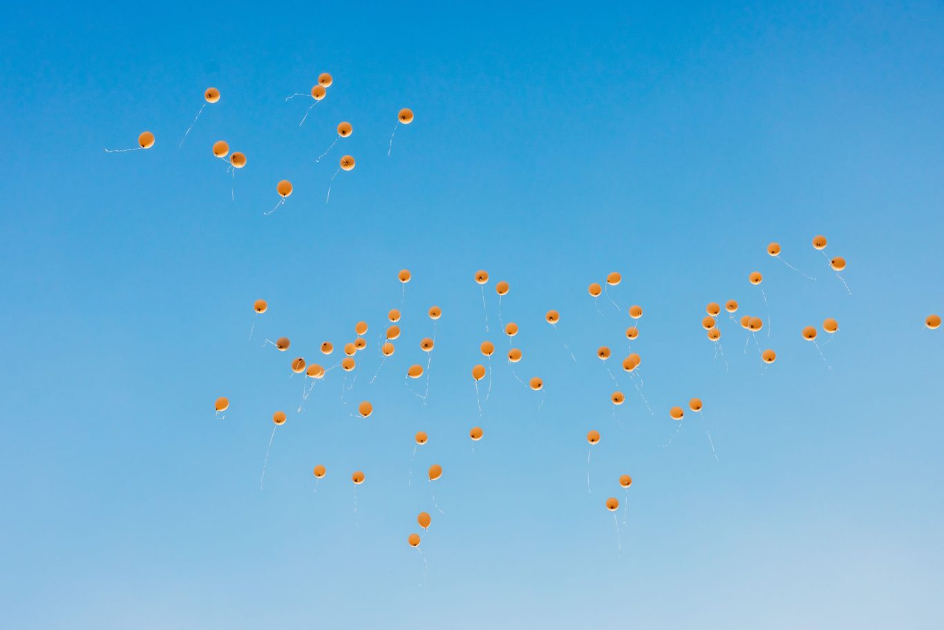 Luftballons in den Abendhimmel steigen.